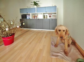 Zimmermann`s Tagespflege Freital Tagespflege 6