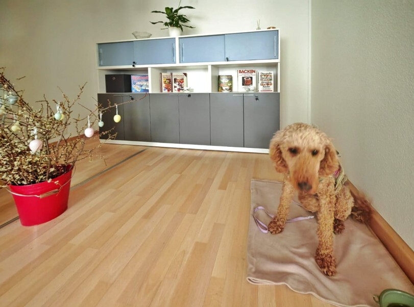 Zimmermann`s Tagespflege Freital Tagespflege 6